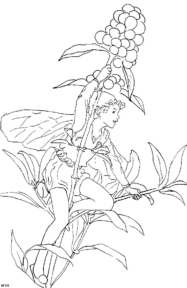 elves026
